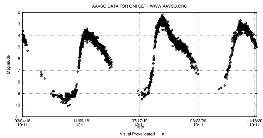 Mira (1000 dní)